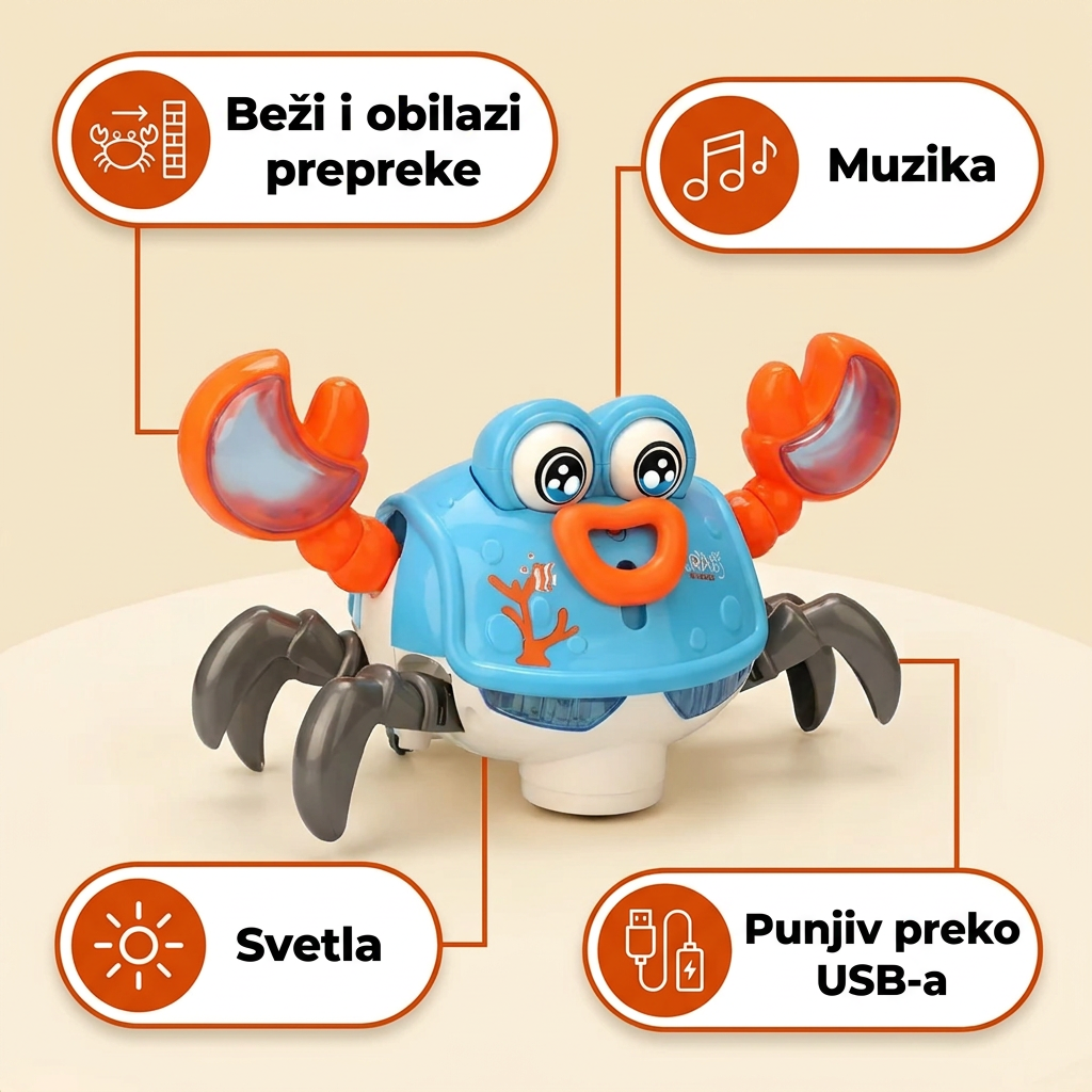 Rakčić – mogućnosti